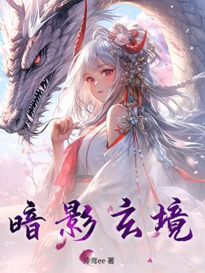 暗影玄境封面
