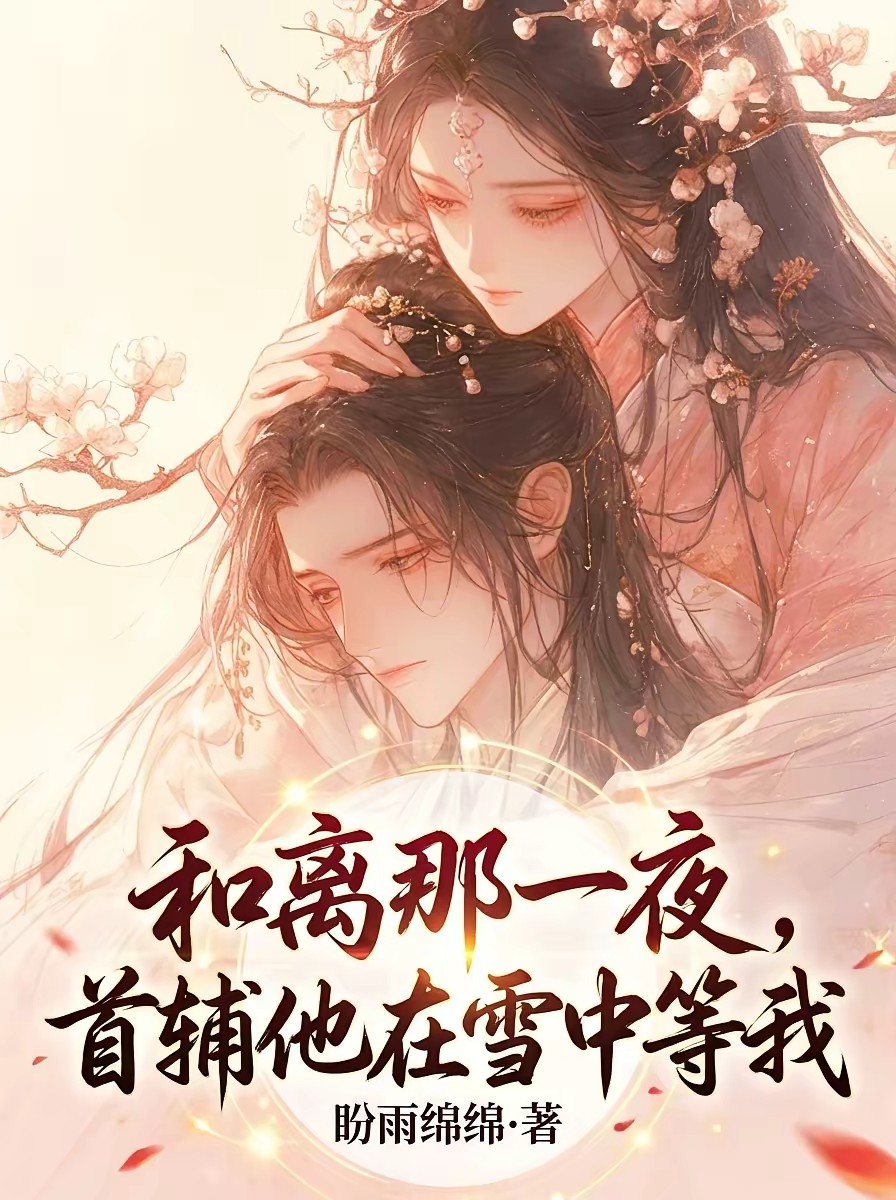 和离那一夜，首辅他在雪中等我封面