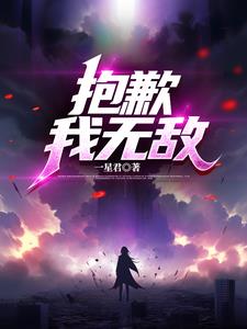 抱歉我无敌封面