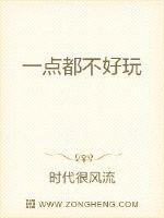 一点都不好玩封面