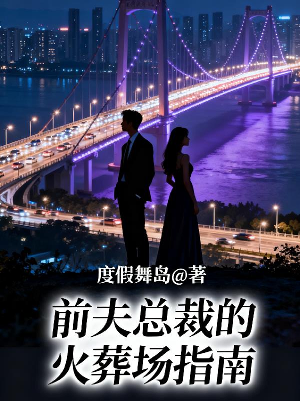 前夫总裁的火葬场指南封面