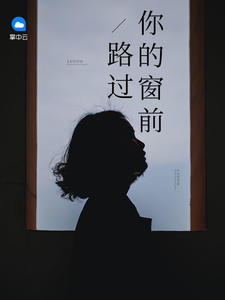 路过你的窗前封面