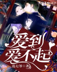 爱到爱不起封面