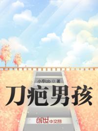 刀疤男孩封面