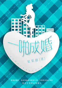 一拍成婚封面
