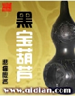 黑宝葫芦封面