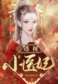 透视小医妃封面