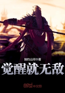 觉醒就无敌封面