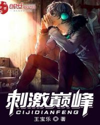 刺激巅峰封面