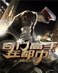 奇门高手在都市封面