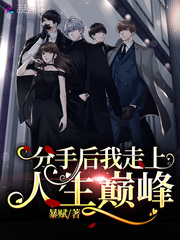 分手后我走上人生巅峰封面