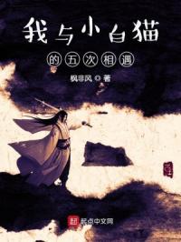 我与小白猫的五次相遇封面