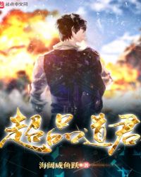 超品道君封面