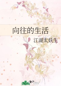 向往的生活封面