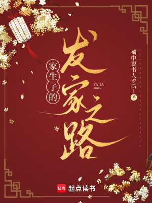 家生子的发家之路封面