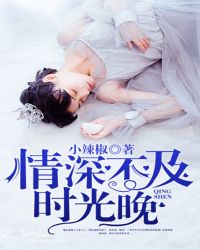 情深不及时光晚封面