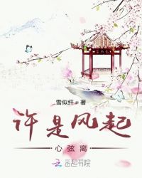 许是风起心弦离封面
