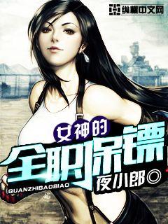 女神的全职保镖封面