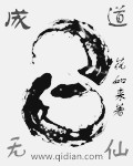 成道无仙封面