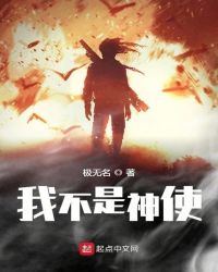 我不是神使封面