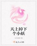 天上掉下个小妖封面