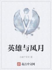 英雄与风月封面
