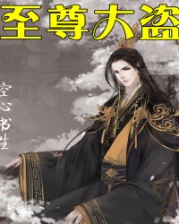 至尊大盗封面