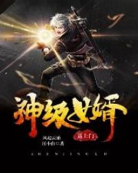神级女婿送上门封面