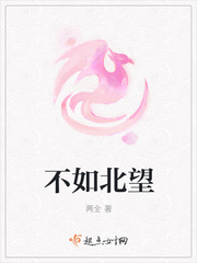 不如北望封面
