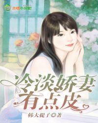 冷淡娇妻有点皮封面