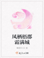 凤栖梧郡霜满城封面