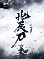 北辰刀封面