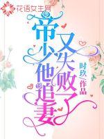 帝少他追妻又失败了封面