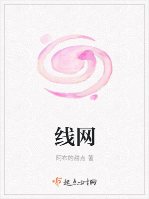 线网封面