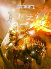 异世界的穿越之魂封面