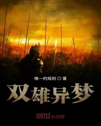 双雄异梦封面