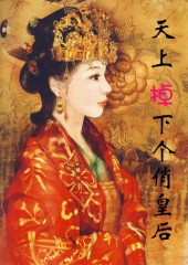天上掉下个俏皇后封面