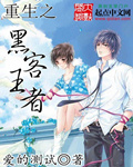 重生之黑客王者封面