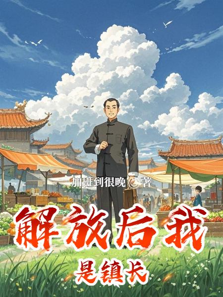 解放后我是镇长封面