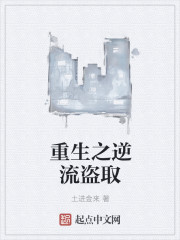 重生之逆流盗取封面
