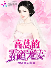 高总的霸道宠妻封面