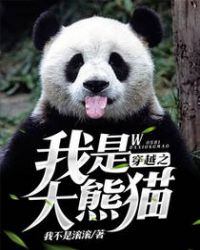 穿越之我是大熊猫封面