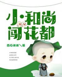 小和尚闯花都封面