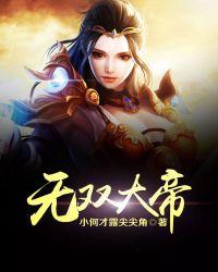 无双大帝封面