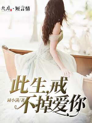 此生，戒不掉爱你封面