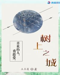 树上之城封面