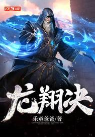 龙翔决封面