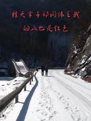 胜天半子祁同伟之我的血也是红色封面