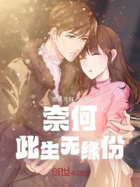 奈何此生无缘份封面