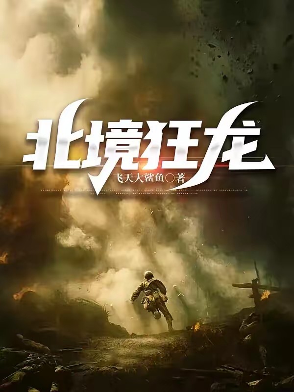 北王狂枭封面